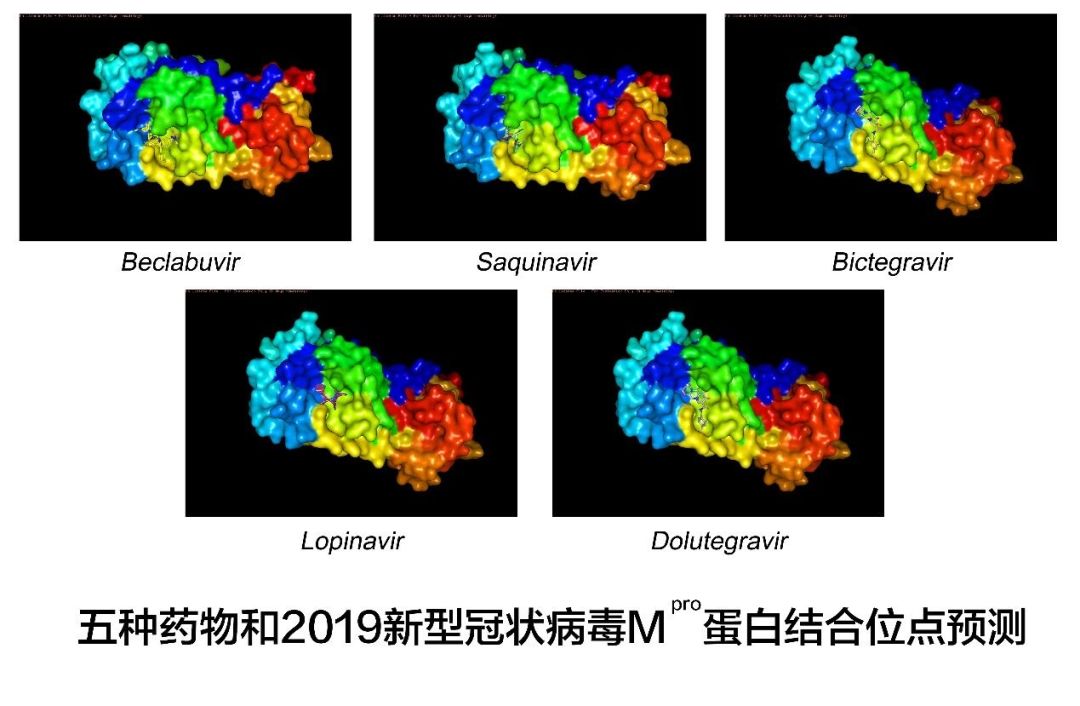 除了李兰娟团队成果 武汉还有好消息：5种药物可能有效